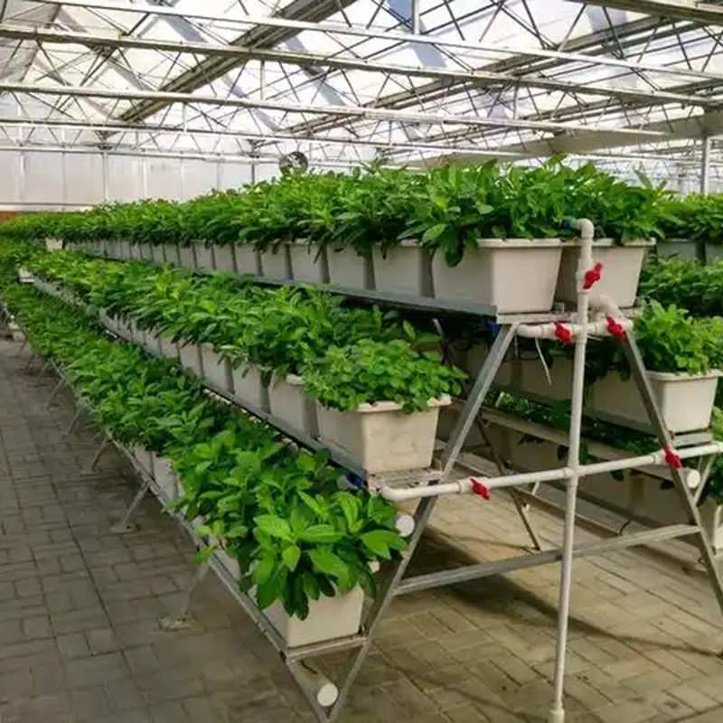 柳州市植物工厂无土栽培 - 哪里好