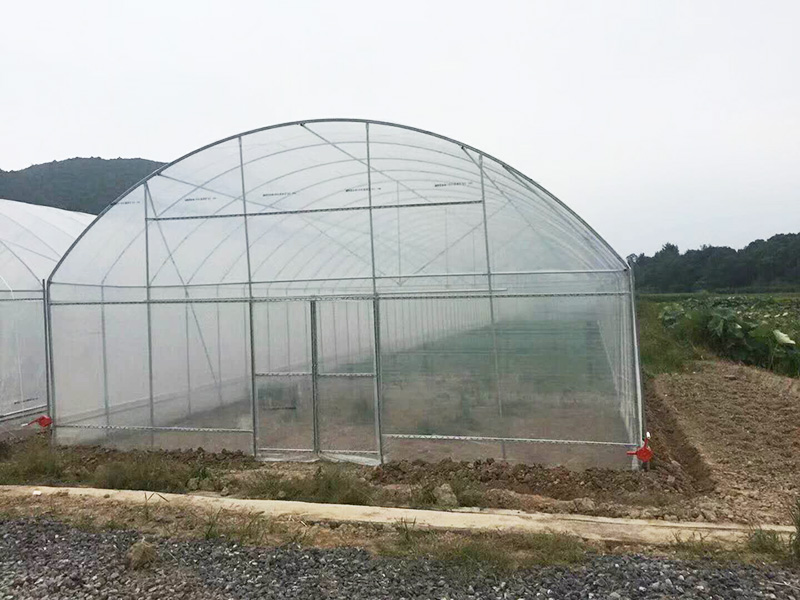 柳州市薄膜大棚水培蔬菜 - 一站式服务