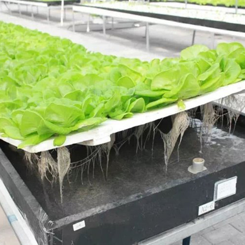 柳州市水培设备蔬菜大棚 - 哪里好