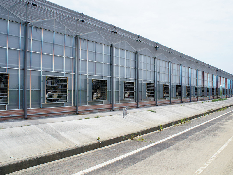 柳州市玻璃大棚鱼菜共生 - 方案